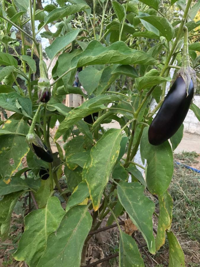 فيلا Bio Garden Stonehouse Gonia المظهر الخارجي الصورة