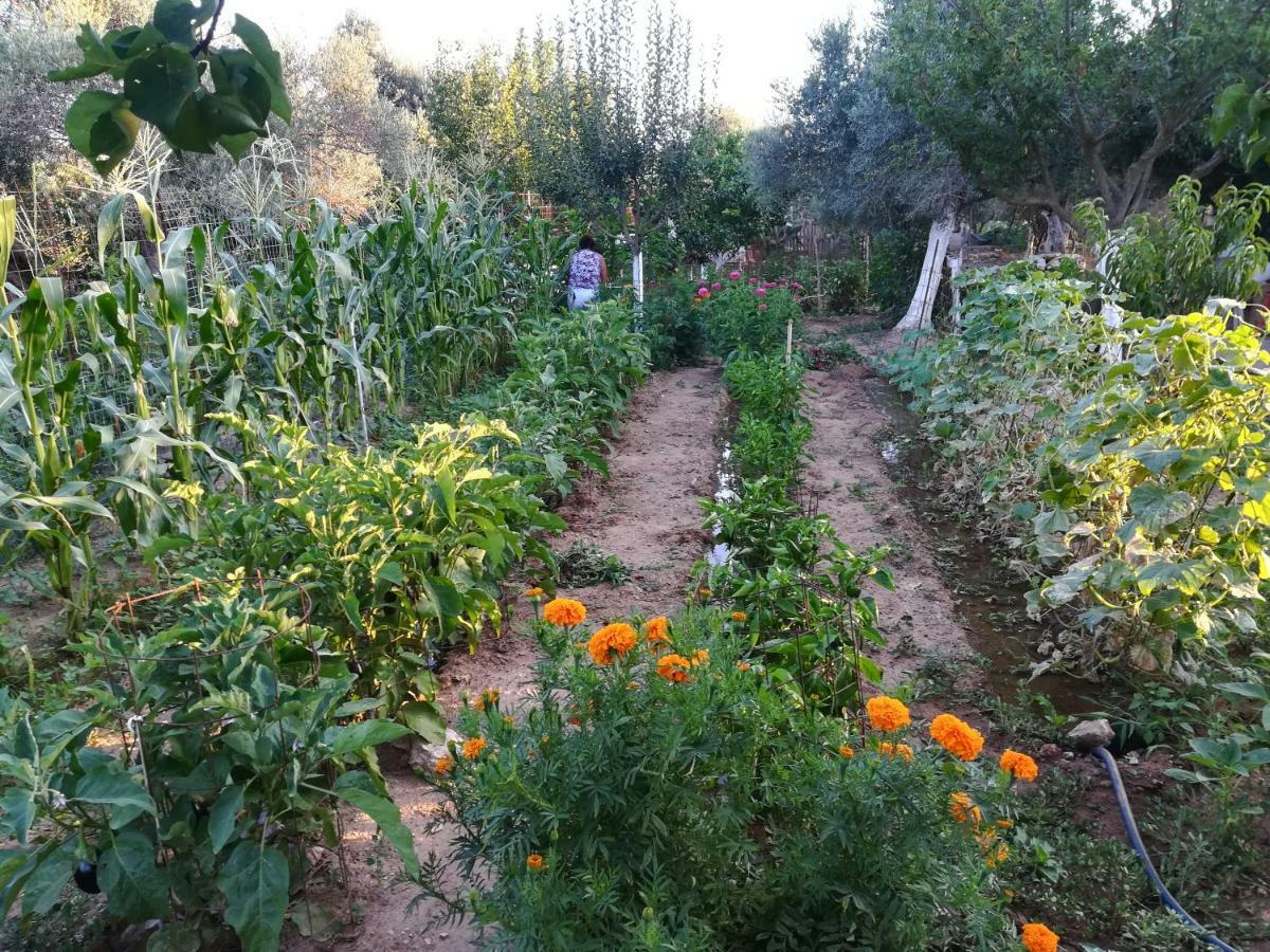 فيلا Bio Garden Stonehouse Gonia المظهر الخارجي الصورة